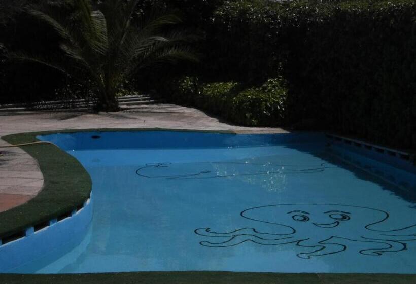 فندق Hostal San José