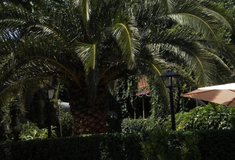 فندق Hostal San José