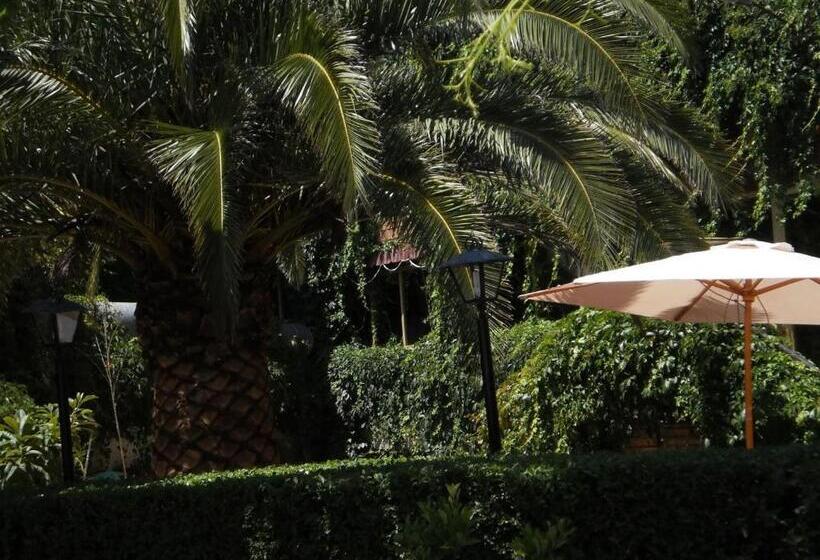 فندق Hostal San José