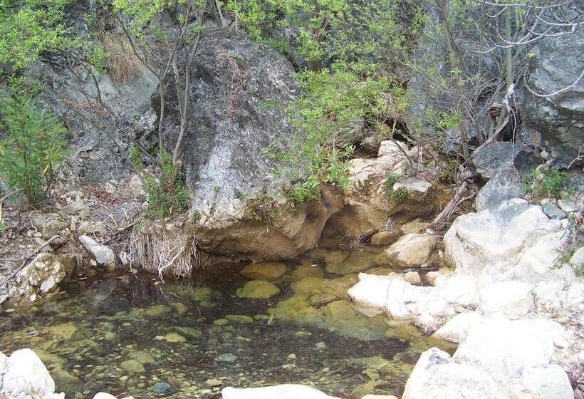 酒店 Hostal Sango Sierra De Las Nieves