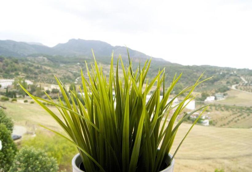 酒店 Hostal Sango Sierra De Las Nieves