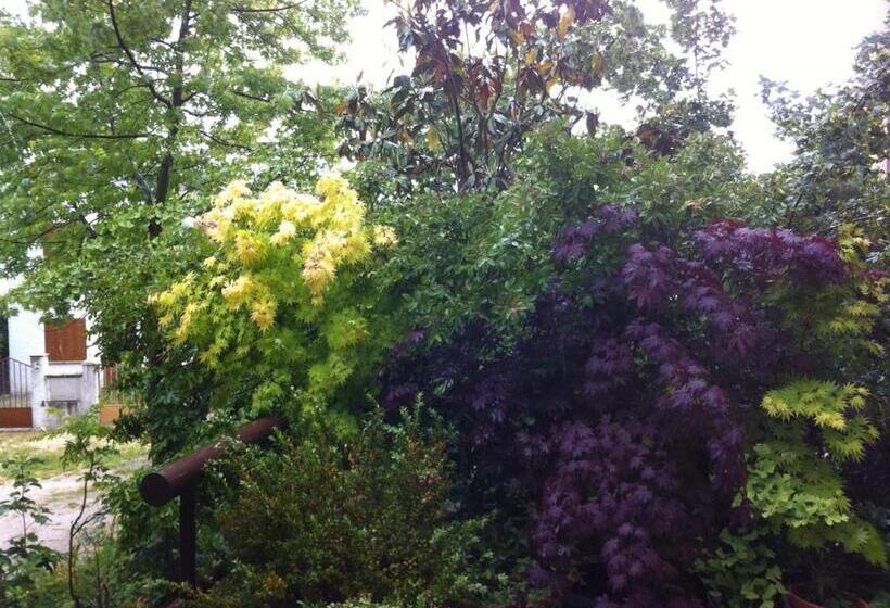 ホテル Mirasierra