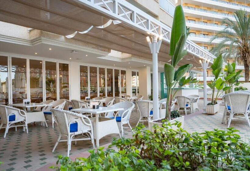 ホテル Ms Aguamarina Suites