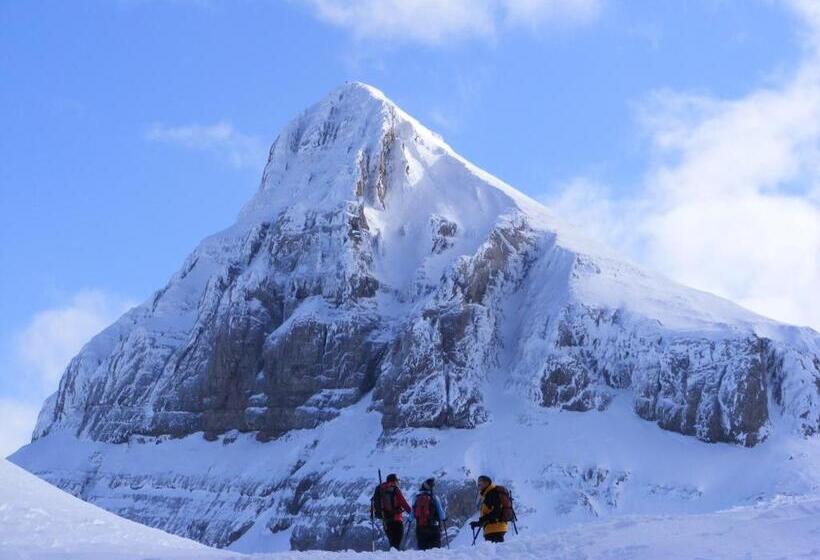 هتل Pension Txiki