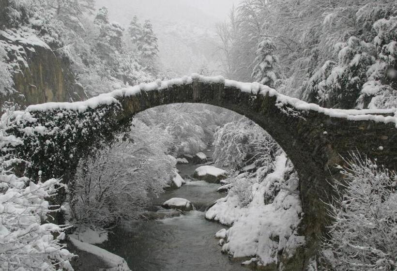 هتل Pension Txiki