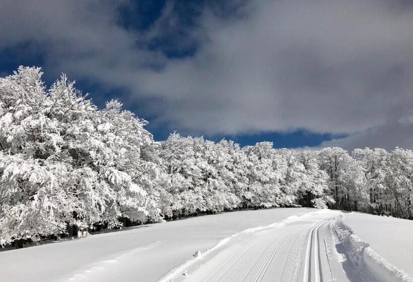 فندق Rural Besaro   Selva De Irati