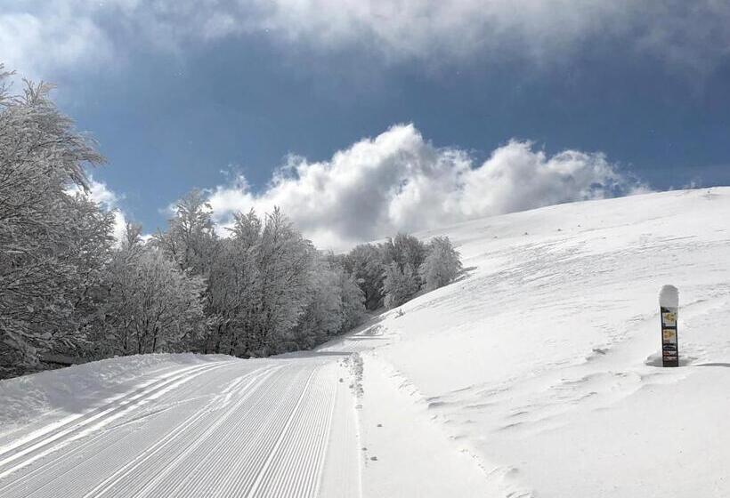 فندق Rural Besaro   Selva De Irati