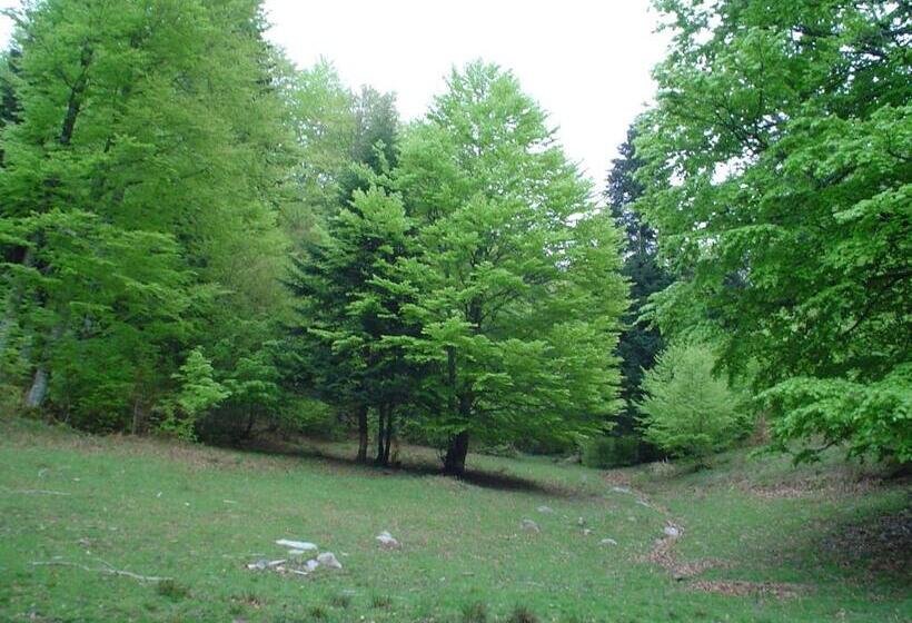 فندق Rural Besaro   Selva De Irati