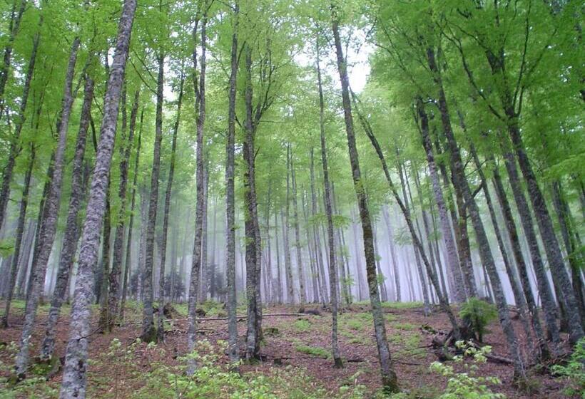 فندق Rural Besaro   Selva De Irati