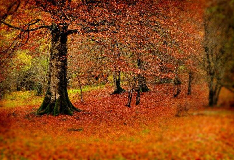 فندق Rural Besaro   Selva De Irati
