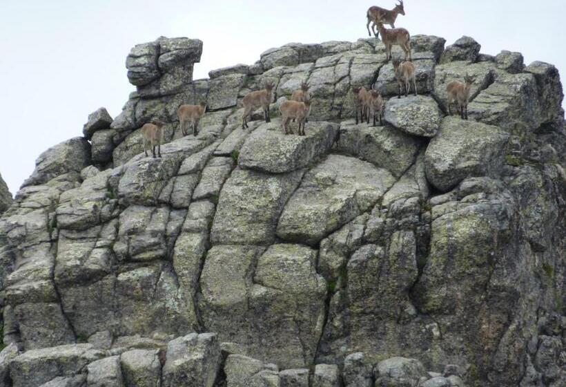 فندق ريفى Rural El Valle