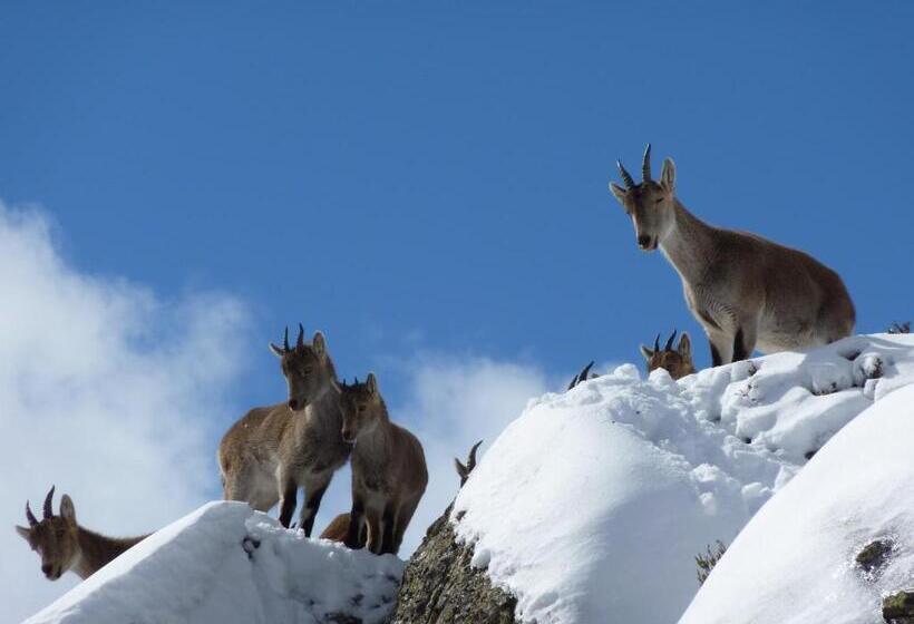 فندق ريفى Rural El Valle