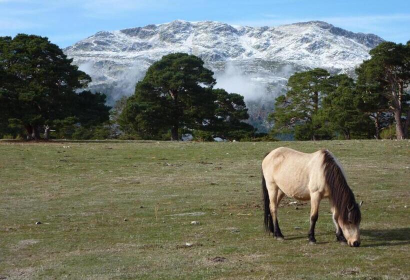 فندق ريفى Rural El Valle
