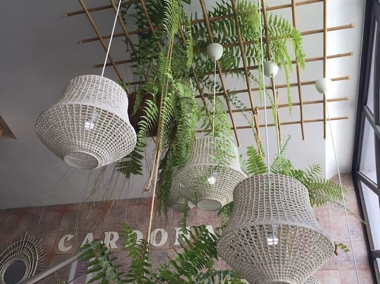 ペンション Hostal Residencia Cardona