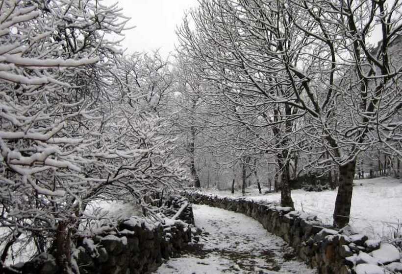 بنسيون Pensio La Creu