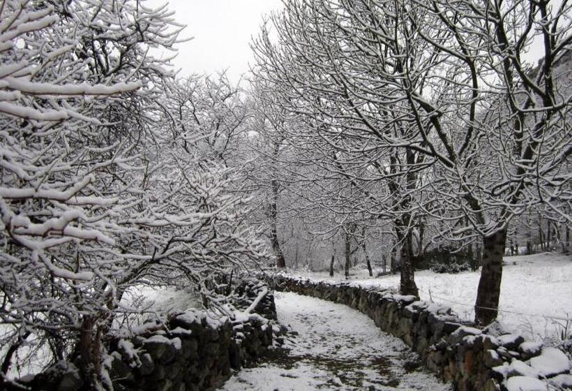 بنسيون Pensio La Creu