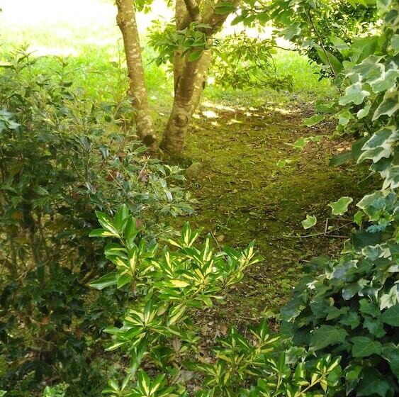 בית מלון כפרי Casa Vieja Del Sastre