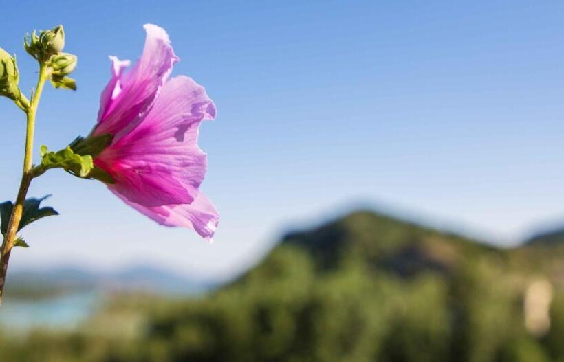 فندق Dos Rios Central