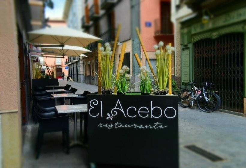 호텔 El Acebo
