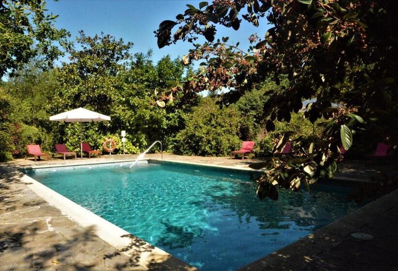 هتل El Habana Llanes