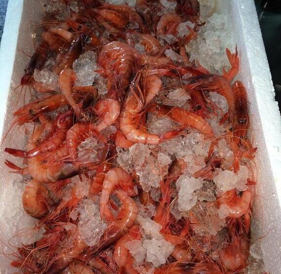 ホテル Hostal Delgado