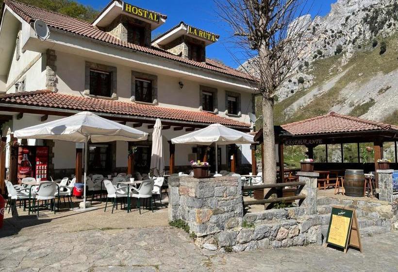 酒店 Hostal La Ruta