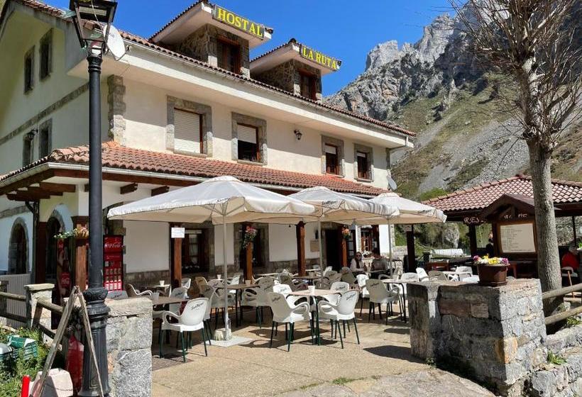 酒店 Hostal La Ruta