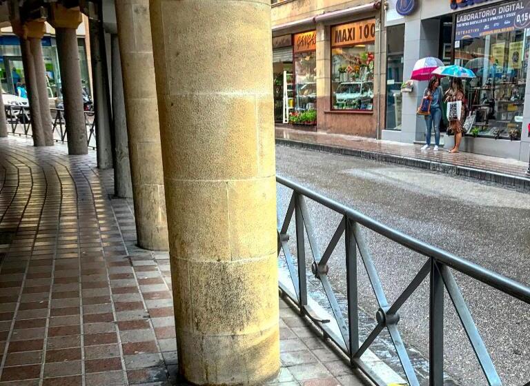 호텔 Hostal Pirineos