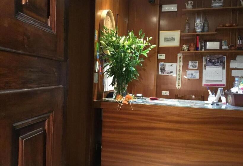 호텔 Hostal Pirineos