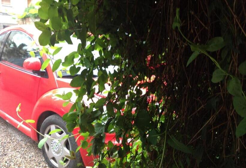 호텔 Hostal Pirineos