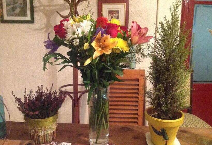 호텔 Hostal Pirineos