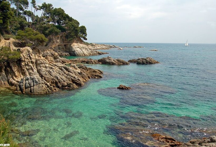 Отель htop Caleta Palace