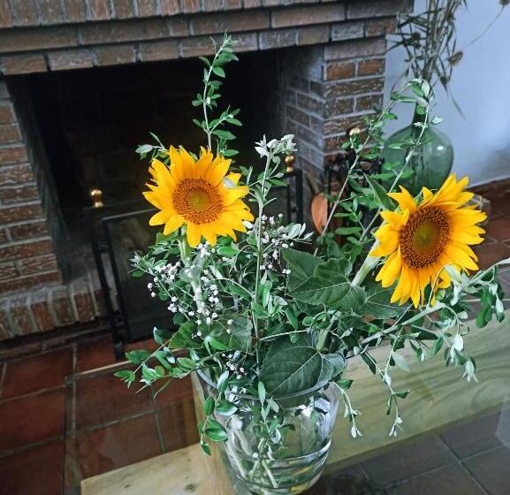 酒店 Casa Del Abad