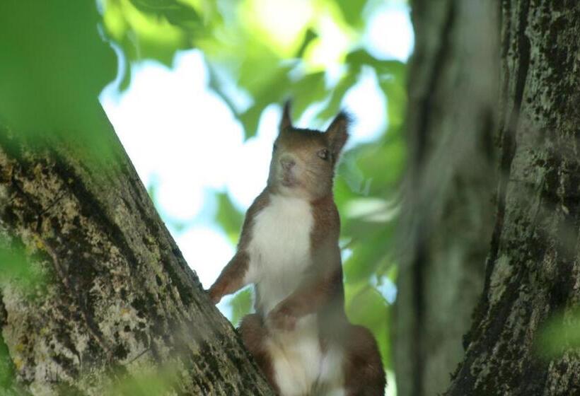 בית מלון כפרי Mirasierra