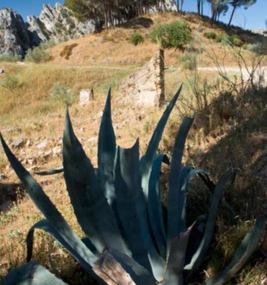 교외 호텔 Rural Palacete De Mañara