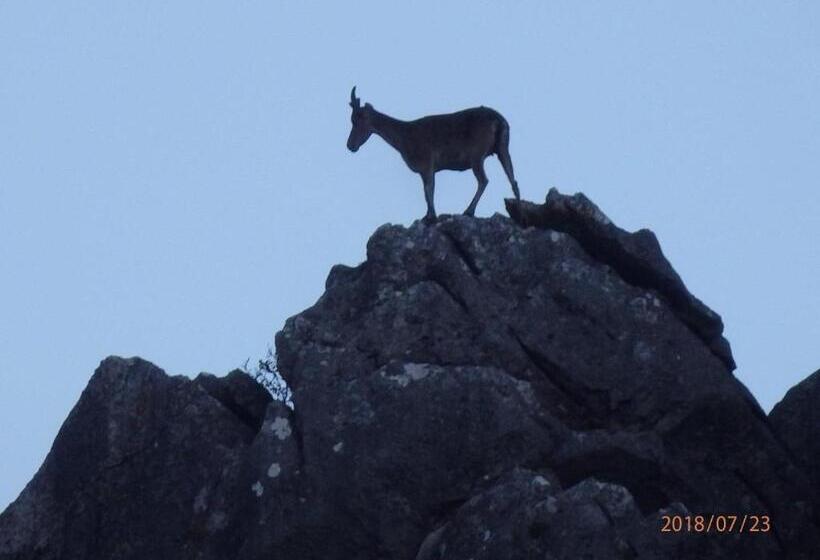 교외 호텔 Rural Palacete De Mañara