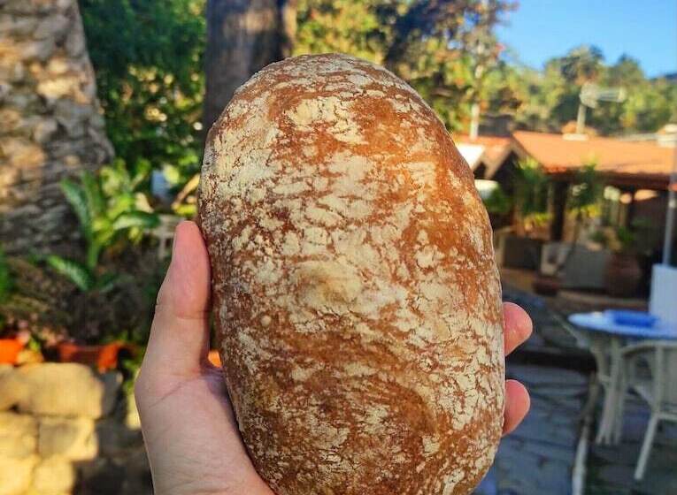 교외 호텔 Rural Villa Del Monte