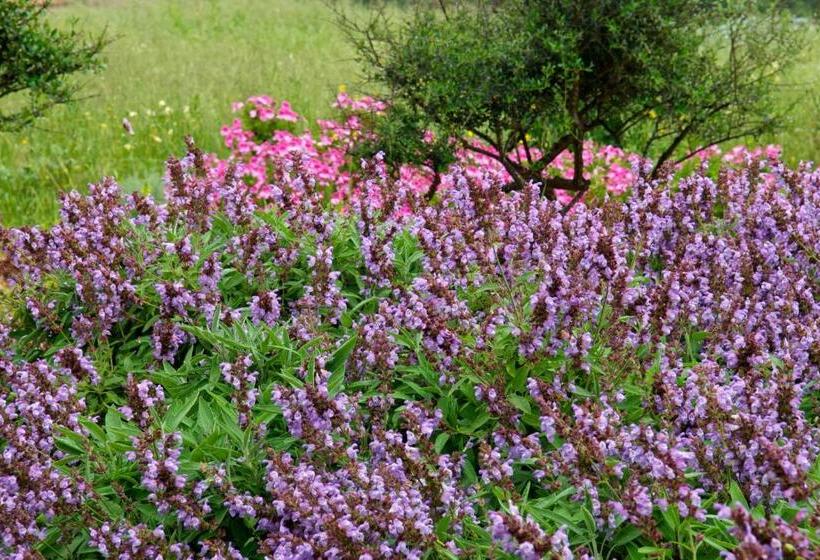 Alcaufar Vell Hotel Rural & Restaurant