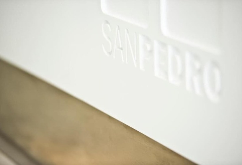 هتل San Pedro