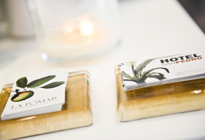 هتل San Pedro