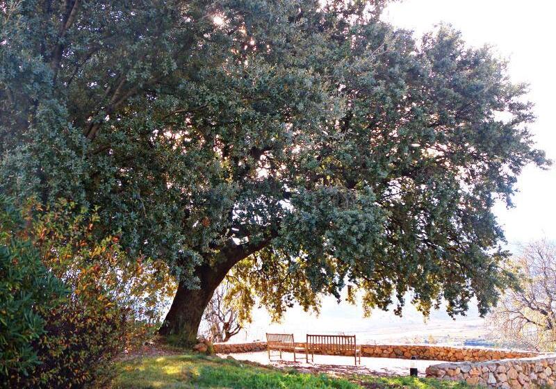 Villa Turistica De Laujar De Andarax