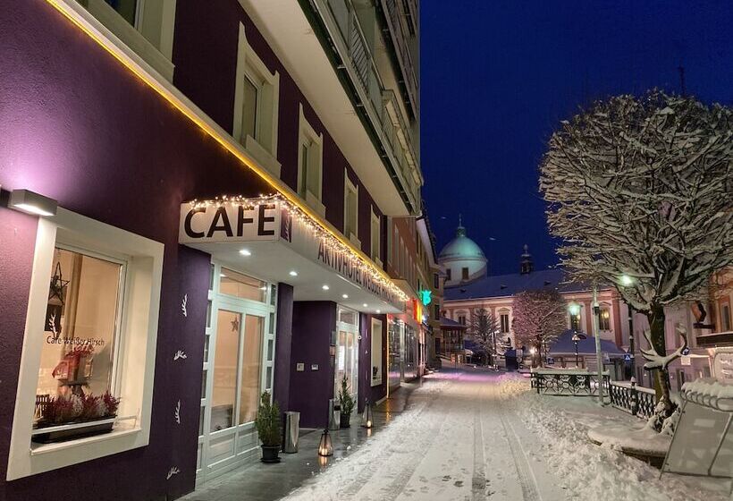 Aktivhotel Weisser Hirsch