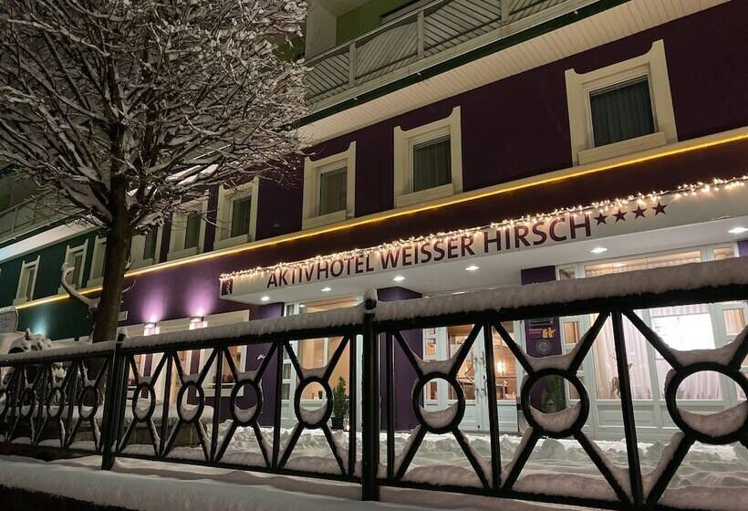 Aktivhotel Weisser Hirsch