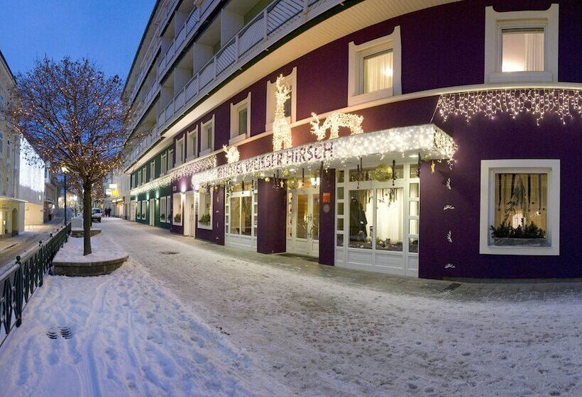 Aktivhotel Weisser Hirsch