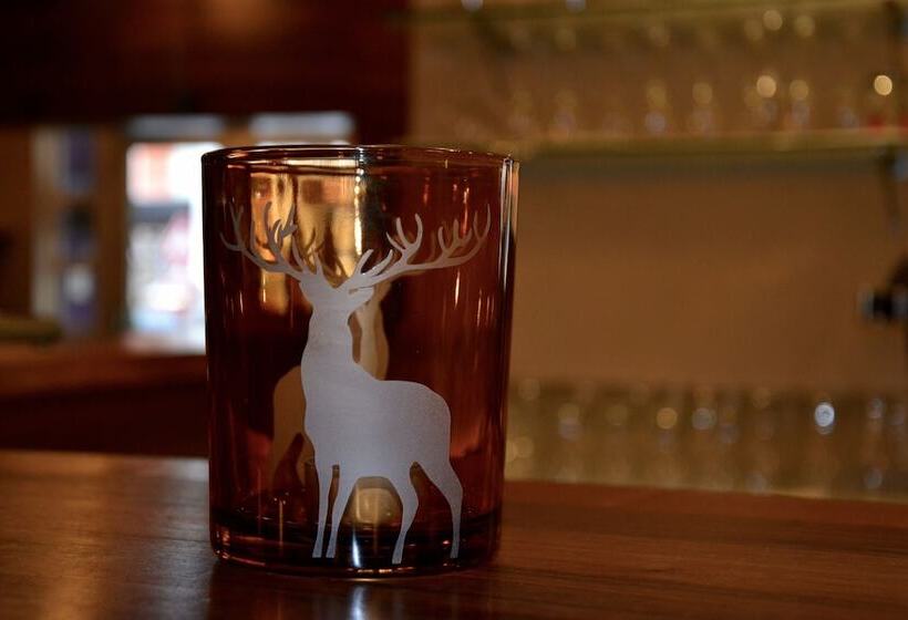 Aktivhotel Weisser Hirsch