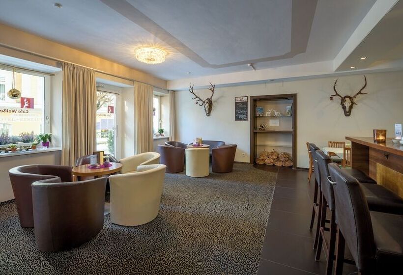 Aktivhotel Weisser Hirsch