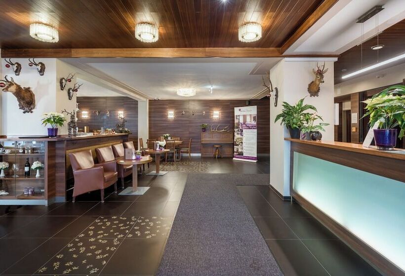 Aktivhotel Weisser Hirsch