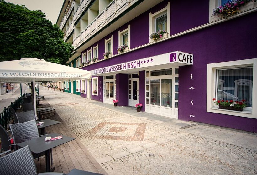 Aktivhotel Weisser Hirsch