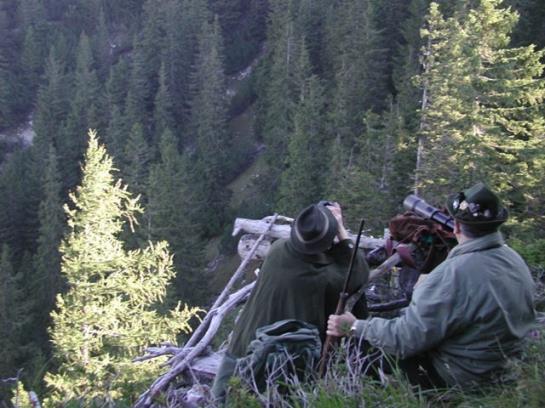 Alpenhotel Jagdhof Breitenthal