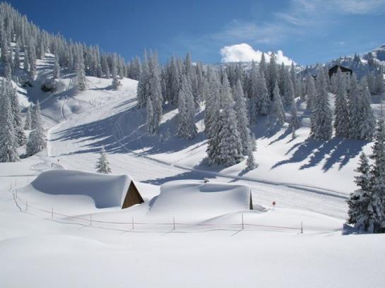 Alpenhotel Jagdhof Breitenthal